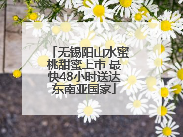 无锡阳山水蜜桃甜蜜上市 最快48小时送达东南亚国家