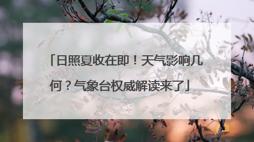 日照夏收在即！天气影响几何？气象台权威解读来了