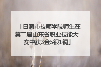 日照市技师学院师生在第二届山东省职业技能大赛中获3金5银1铜