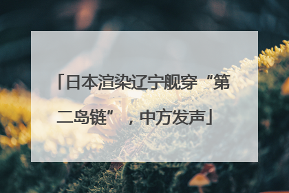 日本渲染辽宁舰穿“第二岛链”，中方发声
