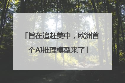 旨在追赶美中，欧洲首个AI推理模型来了