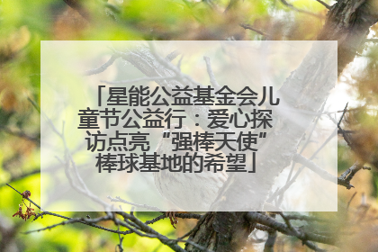 星能公益基金会儿童节公益行：爱心探访点亮“强棒天使”棒球基地的希望