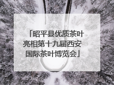 昭平县优质茶叶亮相第十九届西安国际茶叶博览会