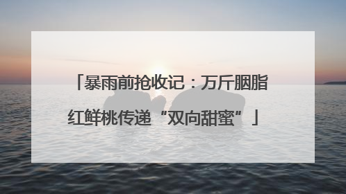 暴雨前抢收记：万斤胭脂红鲜桃传递“双向甜蜜”