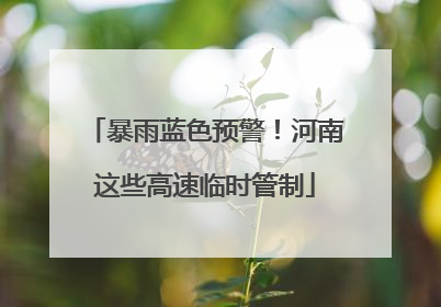 暴雨蓝色预警！河南这些高速临时管制
