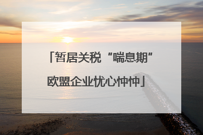 暂居关税“喘息期” 欧盟企业忧心忡忡