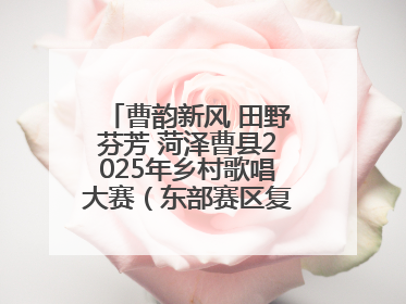 曹韵新风 田野芬芳 菏泽曹县2025年乡村歌唱大赛（东部赛区复赛）举办