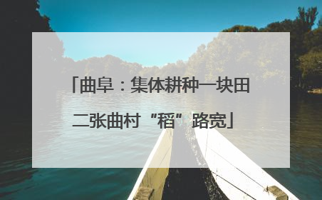 曲阜：集体耕种一块田 二张曲村“稻”路宽