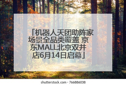 机器人天团助阵家场景全品类覆盖 京东MALL北京双井店6月14日启幕