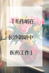 毛伟明在长沙调研中医药工作