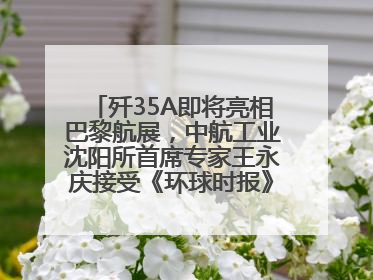 歼35A即将亮相巴黎航展，中航工业沈阳所首席专家王永庆接受《环球时报》专访：未来数量可以有很多