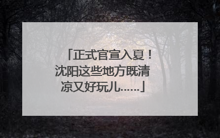 正式官宣入夏！沈阳这些地方既清凉又好玩儿……
