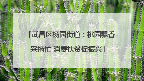武昌区杨园街道：桃园飘香采摘忙 消费扶贫促振兴