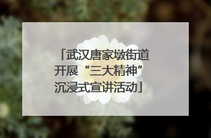 武汉唐家墩街道开展“三大精神”沉浸式宣讲活动