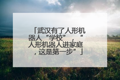 武汉有了人形机器人“学校”，“人形机器人进家庭，这是第一步”