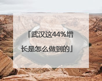 武汉这44%增长是怎么做到的
