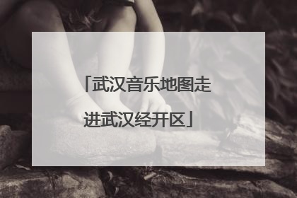 武汉音乐地图走进武汉经开区