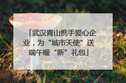 武汉青山携手爱心企业，为“城市天使”送端午暖“新”礼包