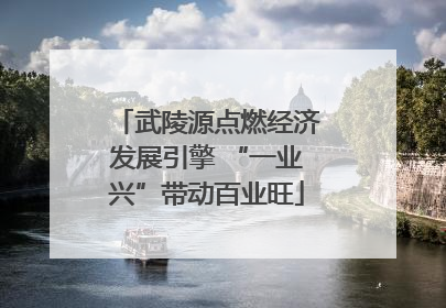 武陵源点燃经济发展引擎 “一业兴”带动百业旺