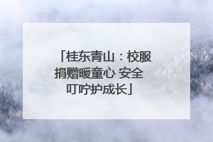 桂东青山：校服捐赠暖童心 安全叮咛护成长