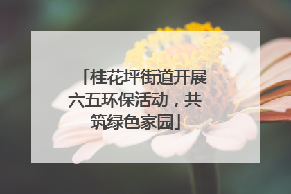 桂花坪街道开展六五环保活动，共筑绿色家园