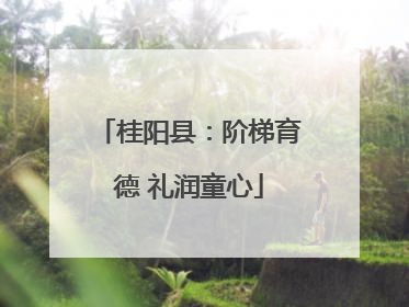 桂阳县：阶梯育德 礼润童心