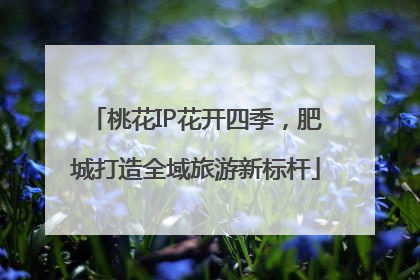 桃花IP花开四季，肥城打造全域旅游新标杆