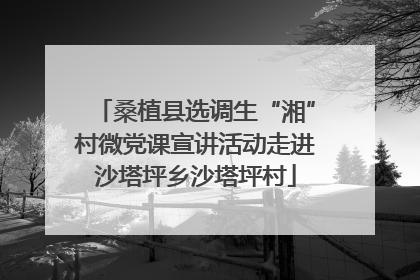 桑植县选调生“湘”村微党课宣讲活动走进沙塔坪乡沙塔坪村
