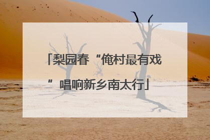 梨园春“俺村最有戏”唱响新乡南太行