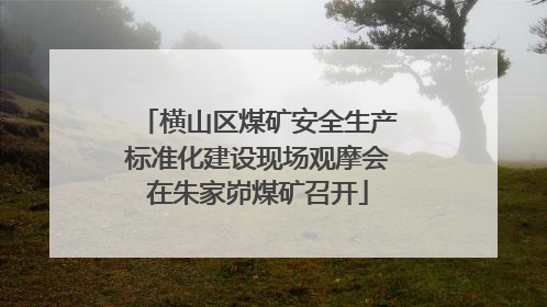 横山区煤矿安全生产标准化建设现场观摩会在朱家峁煤矿召开