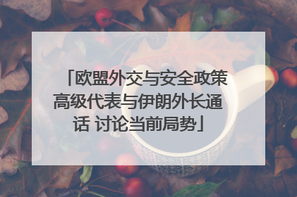 欧盟外交与安全政策高级代表与伊朗外长通话 讨论当前局势
