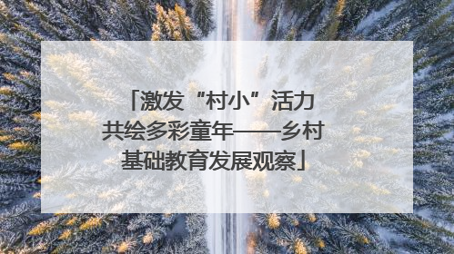 激发“村小”活力 共绘多彩童年——乡村基础教育发展观察