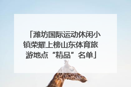 潍坊国际运动休闲小镇荣耀上榜山东体育旅游地点“精品”名单
