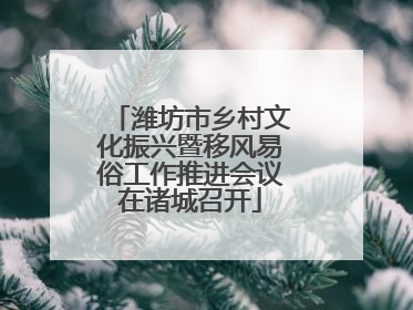 潍坊市乡村文化振兴暨移风易俗工作推进会议在诸城召开