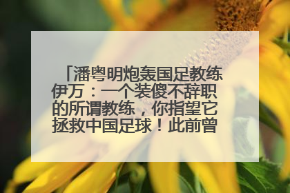 潘粤明炮轰国足教练伊万：一个装傻不辞职的所谓教练，你指望它拯救中国足球！此前曾多次发文评价国足