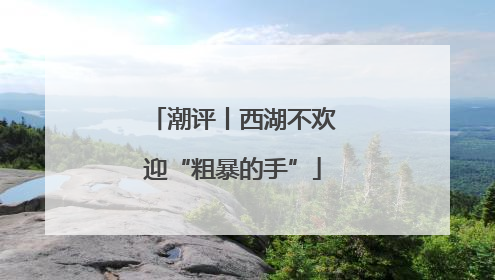 潮评丨西湖不欢迎“粗暴的手”