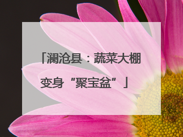 澜沧县：蔬菜大棚变身“聚宝盆”