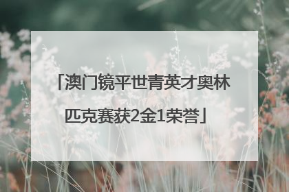 澳门镜平世青英才奥林匹克赛获2金1荣誉