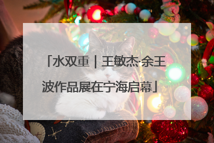 水双重｜王敏杰·余王波作品展在宁海启幕