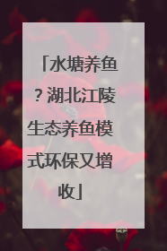 水塘养鱼？湖北江陵生态养鱼模式环保又增收