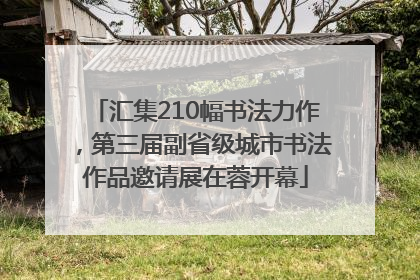 汇集210幅书法力作，第三届副省级城市书法作品邀请展在蓉开幕