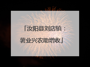 汝阳县刘店镇：薯业兴农助增收