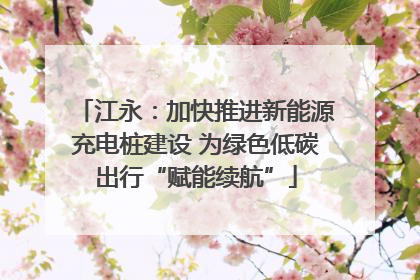 江永：加快推进新能源充电桩建设 为绿色低碳出行“赋能续航”