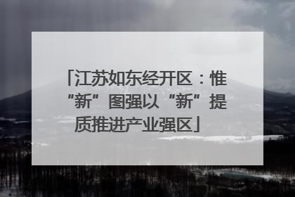 江苏如东经开区：惟“新”图强以“新”提质推进产业强区