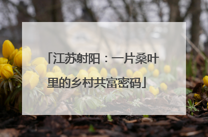 江苏射阳：一片桑叶里的乡村共富密码