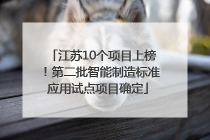 江苏10个项目上榜！第二批智能制造标准应用试点项目确定