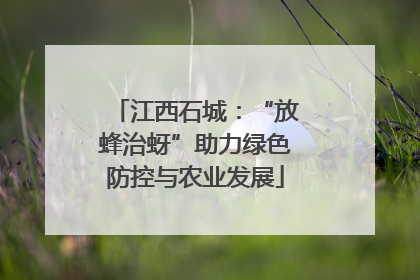 江西石城：“放蜂治蚜”助力绿色防控与农业发展