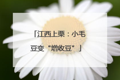江西上栗：小毛豆变“增收豆”