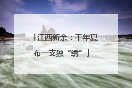 江西新余：千年夏布一支独“绣”