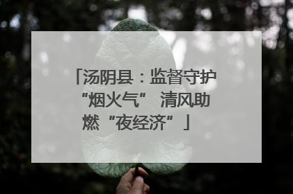 汤阴县：监督守护“烟火气” 清风助燃“夜经济”